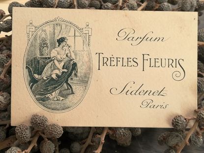 vintage parfumkaartje, vintage parfume card