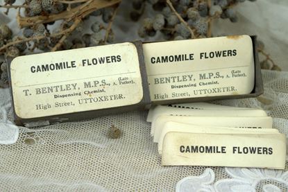 vintage blikje originele etiketjes van kamille bloemen